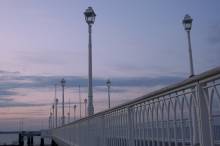 Le tir au vol Arcachon